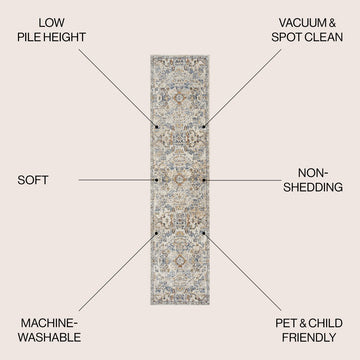 Shaemus Bohemian Medallion Low-Pile Machine-Washable Area Rug